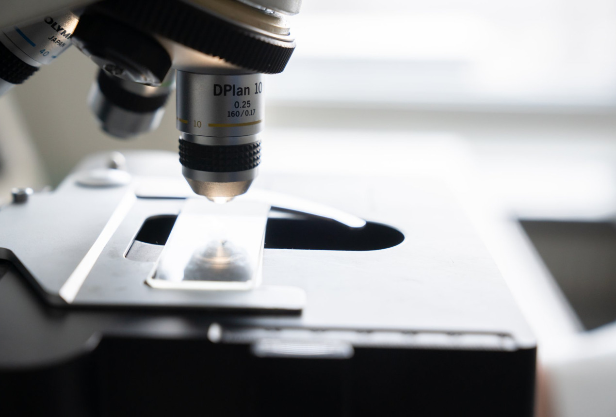 Hernandez & Sorokina / FTMC nuotrauka