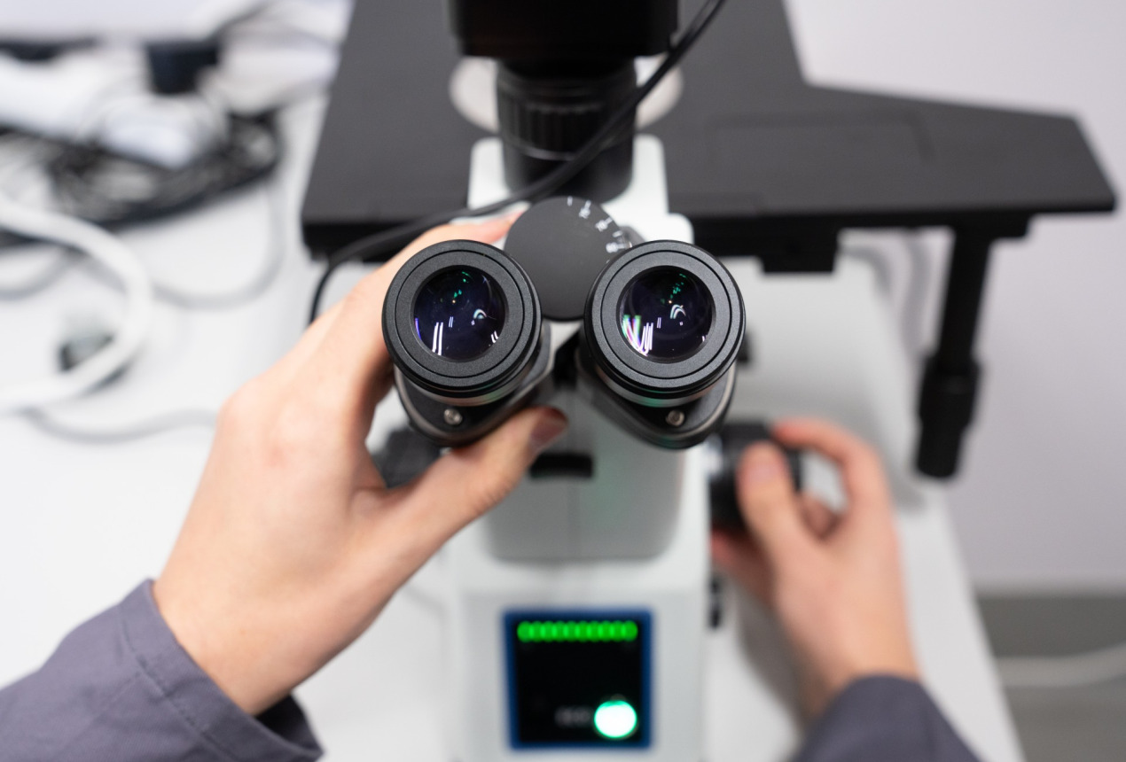 Photo: Hernandez and Sorokina / FTMC