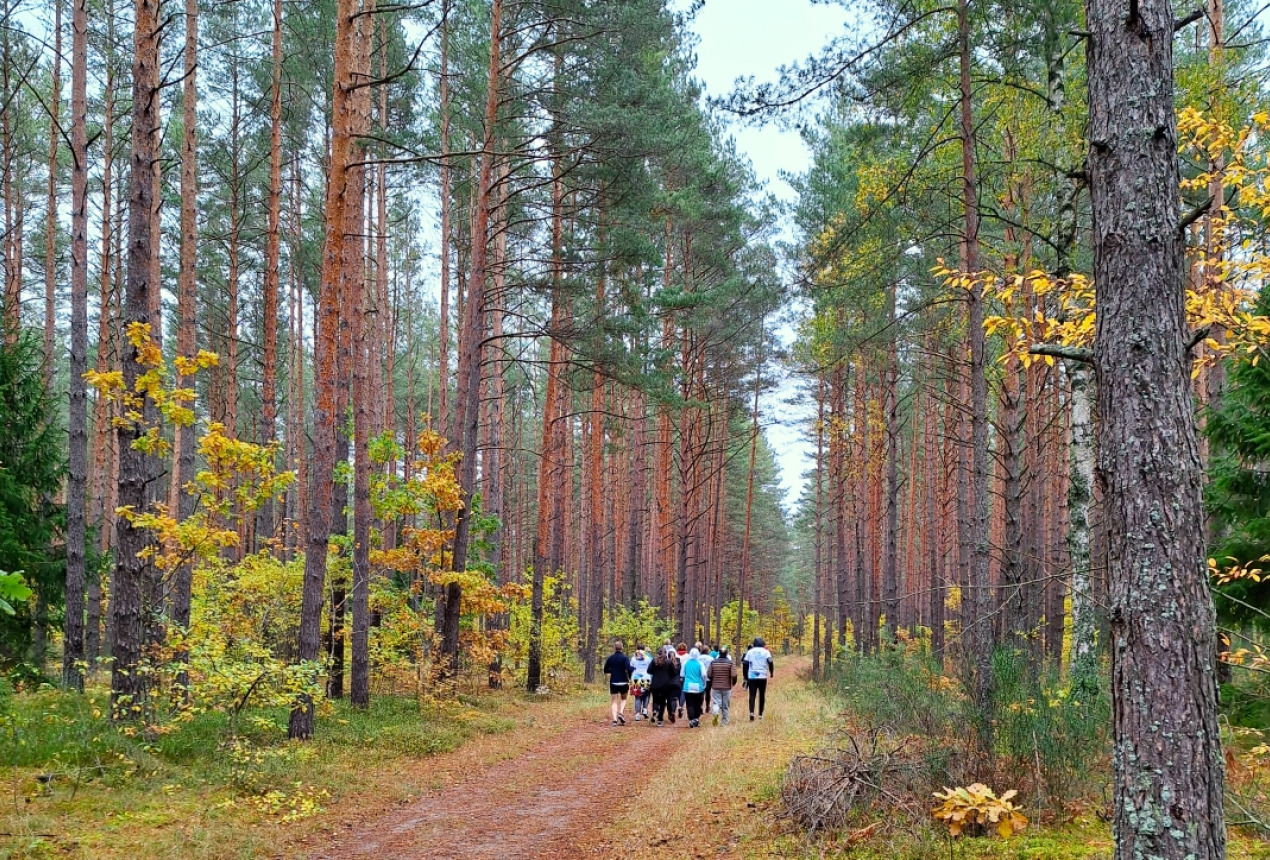 A moment from the Fall Cross. Photo: FTMC